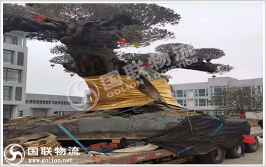 株洲物流公司 國聯物流 株洲物流公司 國聯物流